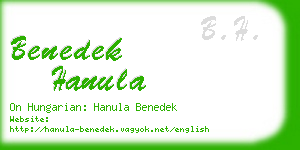 benedek hanula business card